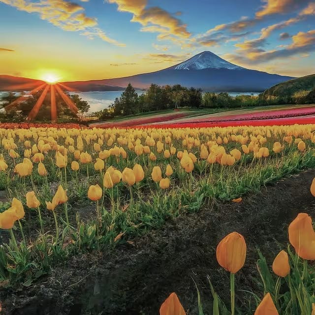Breathtaking Natural Landscapes: Japan's Scenic Be
